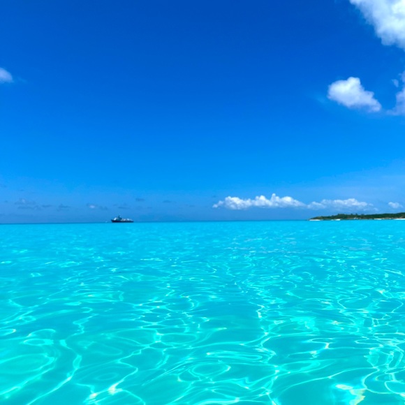 Meet your Posher, Lisa - Picture 1 of 1